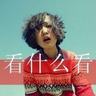 宠物知识搞笑文案怎么写